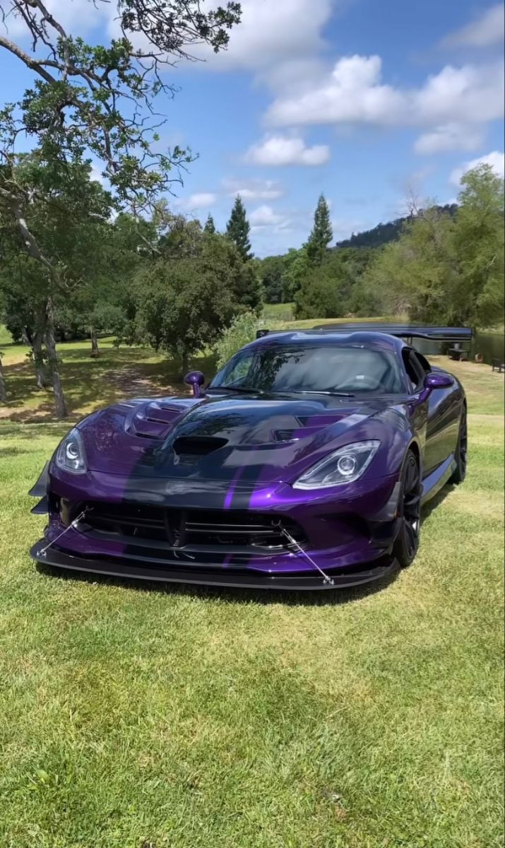 a purple sports car parked in the grass