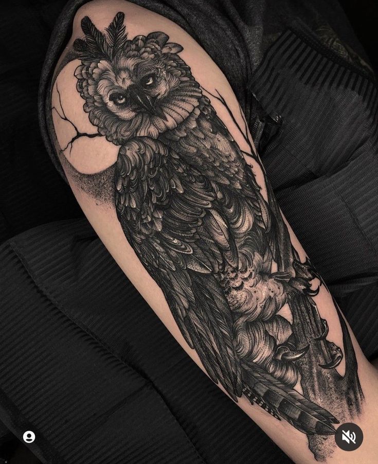 an owl tattoo on the arm