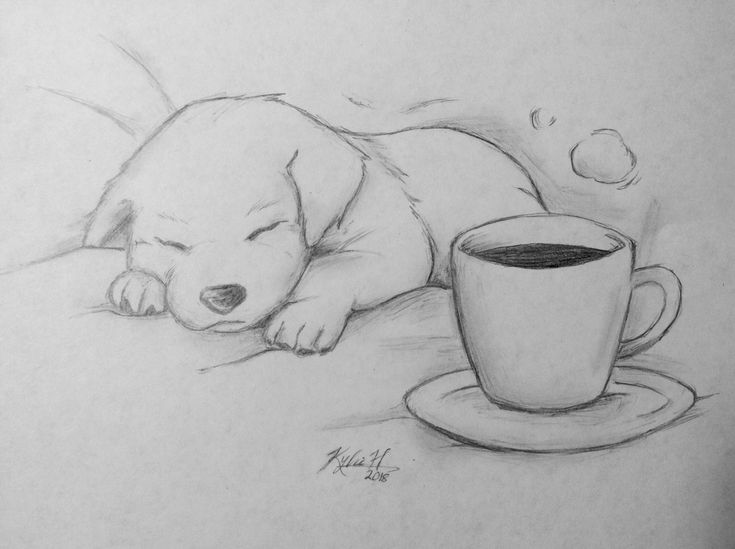 a pencil drawing of a puppy sleeping next to a cup of coffee on a saucer