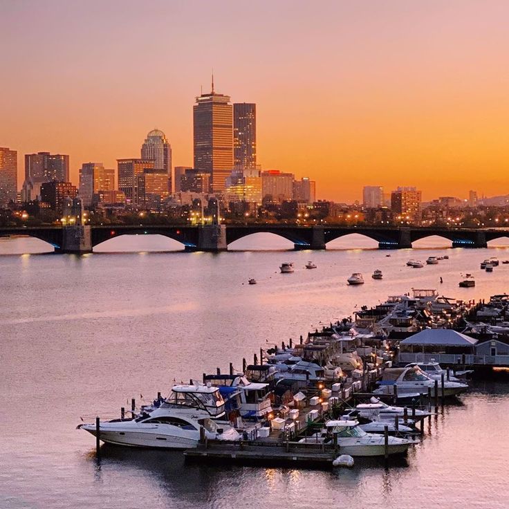 boats are docked in the harbor with a city skyline in the background