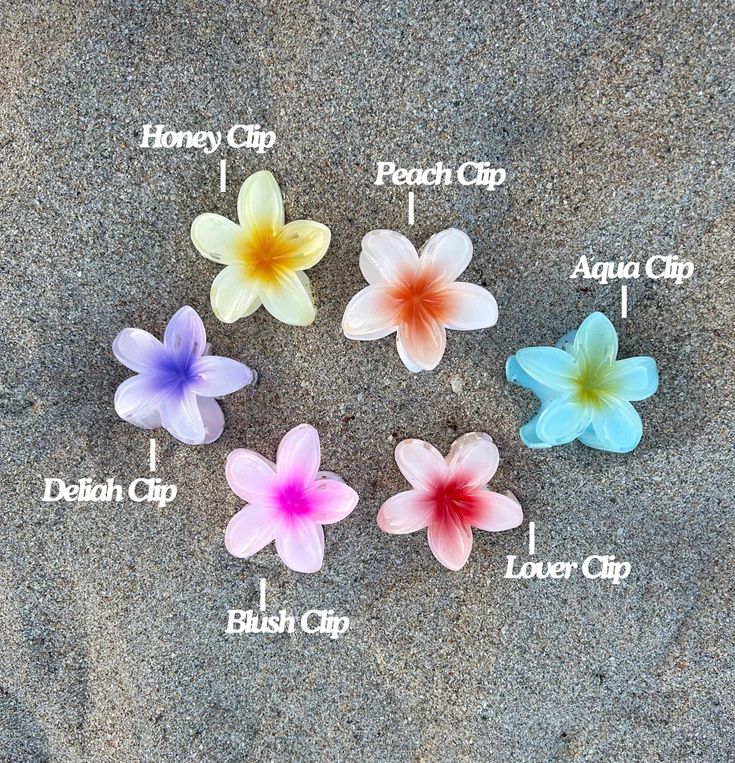 Our 'Flowers in Her Hair Yellow Claw Clips' are a set of 6 beautiful accessories designed to secure your hair in style! Made with high-quality material, these claw clips are  durable and sturdy, ensuring a long-lasting hold. The vibrant colors perfectly complements any outfit! Cute Claw Clips Aesthetic, How To Style Flower Claw Clips, Cute Hair Clips Aesthetic, Flower Clips For Hair, Hair Assories, Claw Clip For Long Hair, Clip For Long Hair, Flowers Hair Clips, Flower Claw Clips