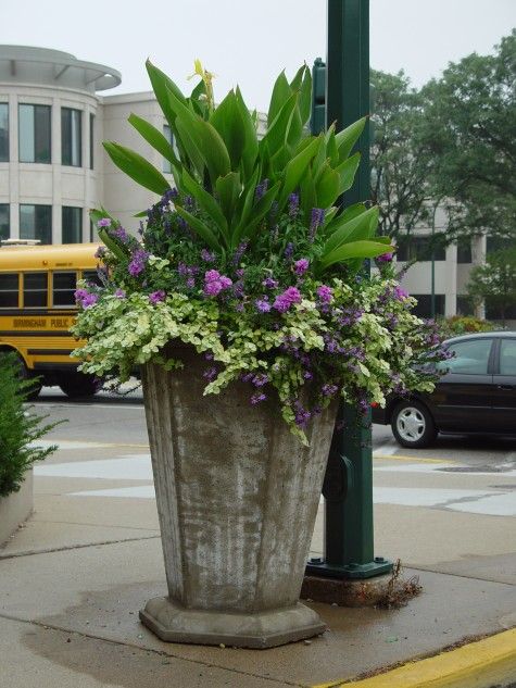 a planter with purple and white flowers is on the sidewalk next to a street light