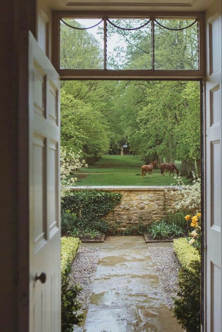 an open door leading to a lush green yard with horses in the pasture behind it