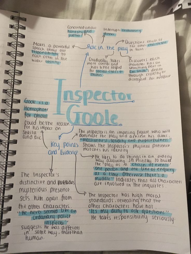 an open notebook with the words inspection, gooe and instructions written in blue ink