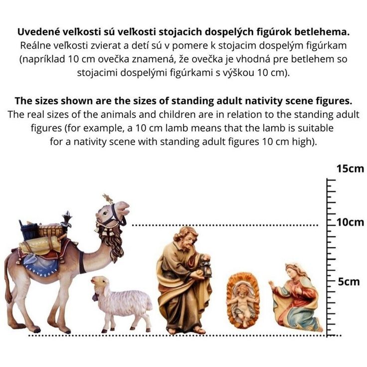 the sizes of animals are shown in this diagram