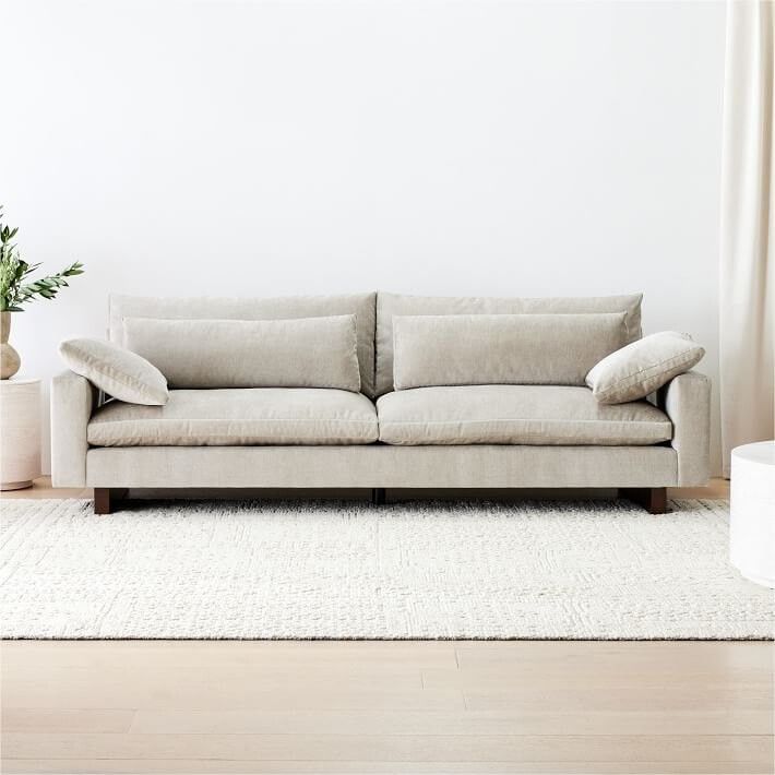 a living room with a couch, rug and potted plant