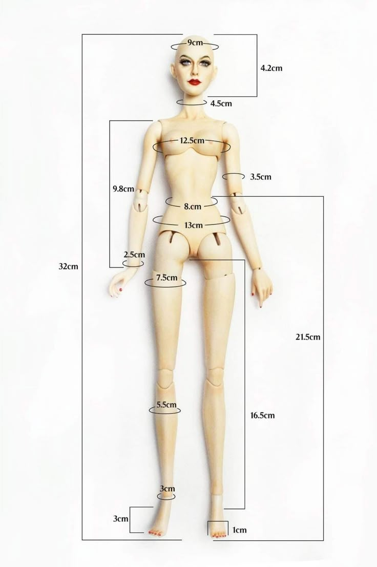 a female mannequin is shown with measurements for the body and head to scale