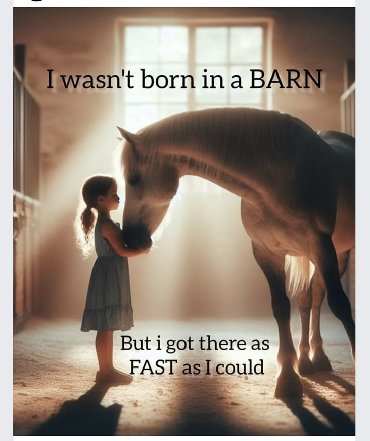 Horses Funny Photos, Western Horse Riding Aesthetic, Horse Girl Quotes, Cute Horse Quotes, Funny Horse Memes, Horse Memes, Cowgirl Quote, Horse Quotes Funny, Horsey Life