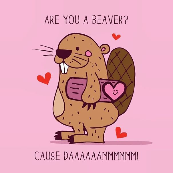 a beaver holding a heart in its paws with the words are you a beaver?