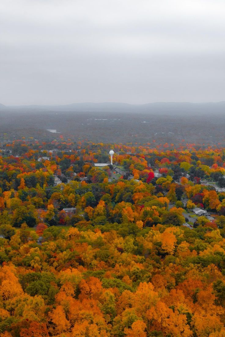 an aerial view of trees in the fall