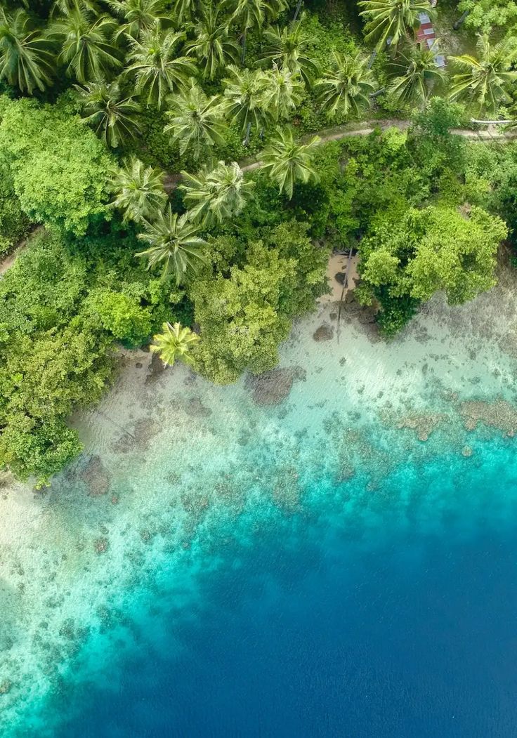 an aerial view of the blue water and palm trees