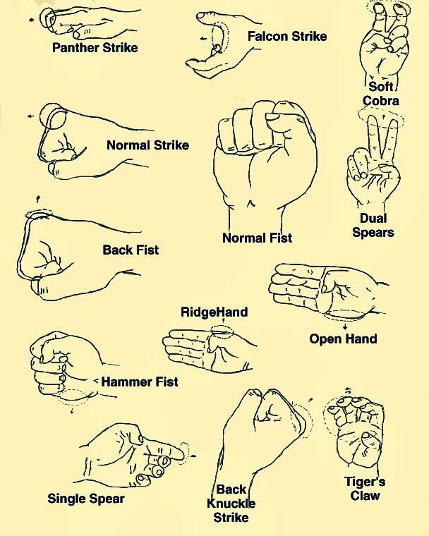 an image of different types of hand gestures