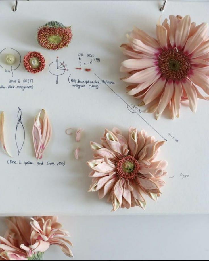 three pink flowers are on top of a white board with instructions to make them look like they're made out of paper