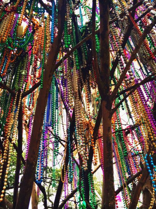 many beads hang from the branches of trees