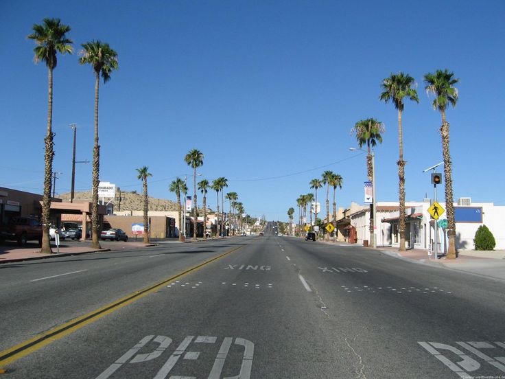 an empty street with palm trees on both sides and the word pedi written in white