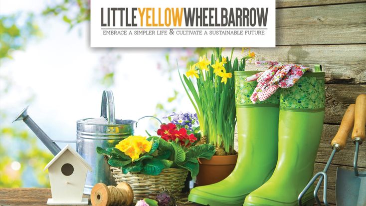 Little Yellow Wheelbarrow