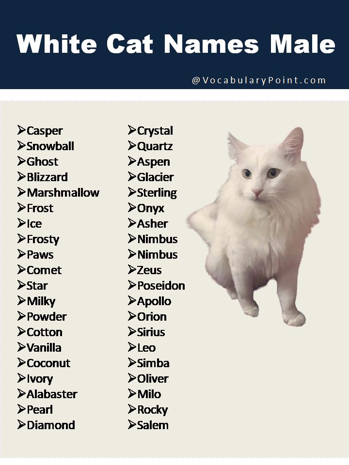 a white cat with the names of its name in front of it's image