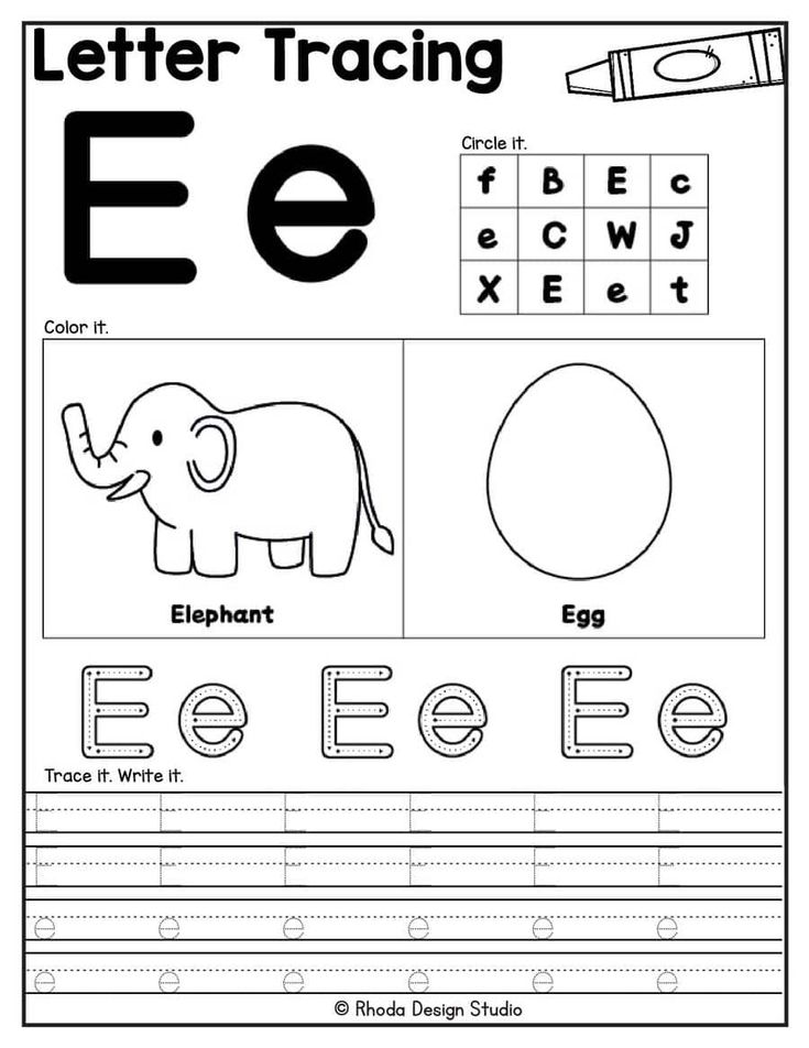 the letter e worksheet with an elephant and letters to help students learn how to write