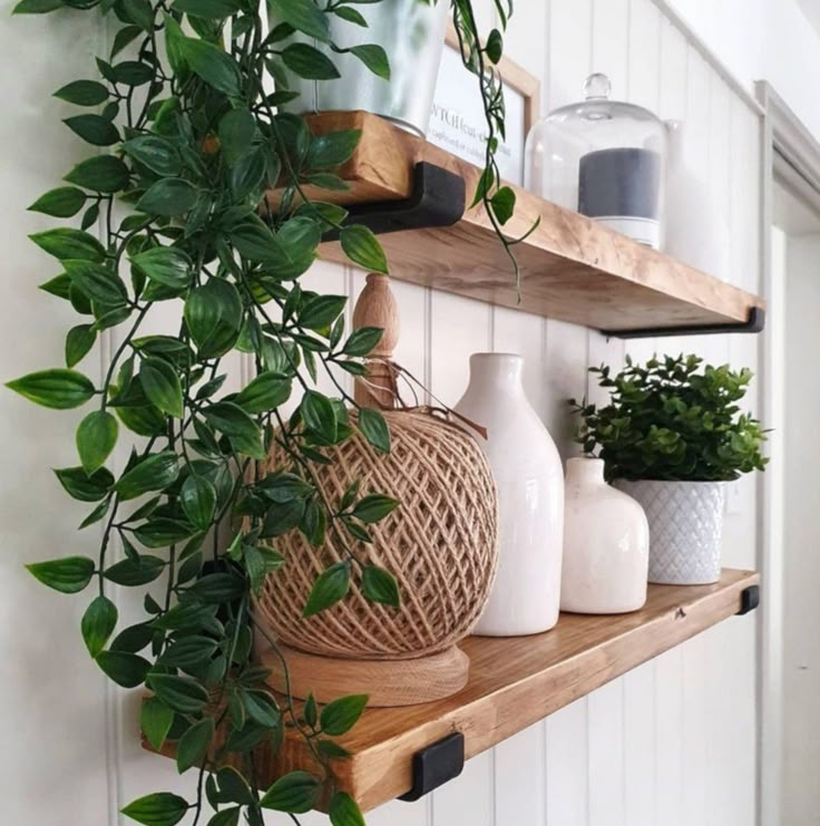 two wooden shelves with plants and vases on them