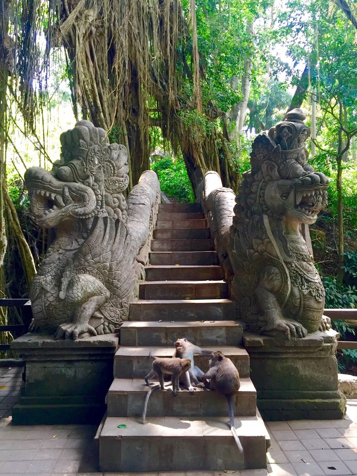 two dogs are sitting on the steps in front of some stone statues with moss growing over them