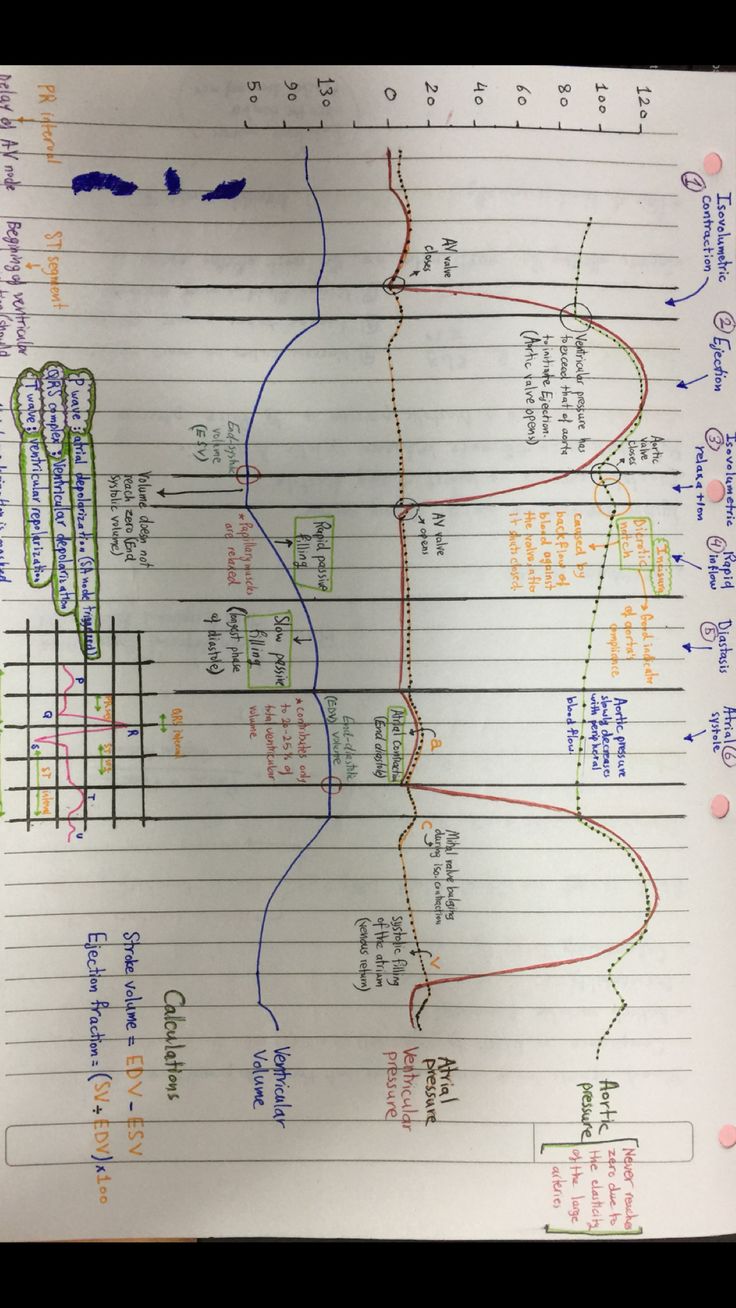 a paper with some lines on it that have different types of wires attached to them