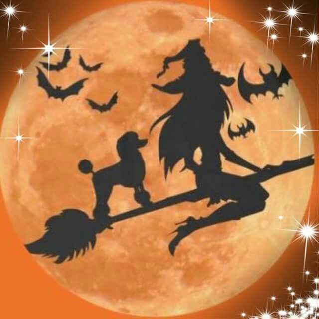 a full moon is in the background with silhouettes of witches on brooms and bats