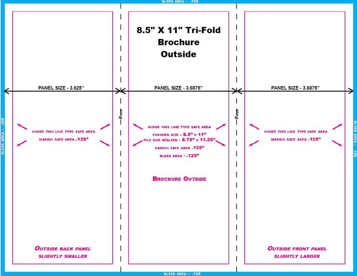 11X8 5 Tri Fold Brochure Template