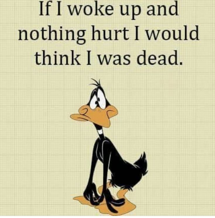 Daffy Duck Quotes, Dragon Teeth, Duck Quotes, Funny Club, Senior Humor, Classic Cartoon Characters, Funny Quotes Sarcasm, Daffy Duck, Funny Cartoon Quotes