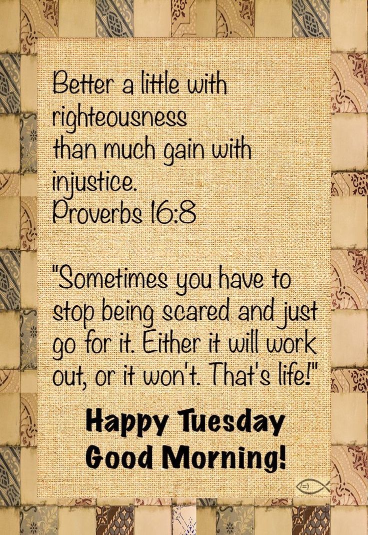 a card with the words happy tuesday good morning