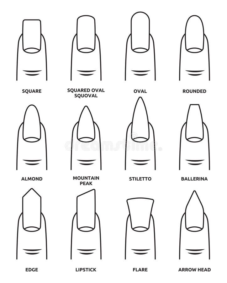 Different nail shapes - Fingernails fashion Trends vector illustration Printable Nail Art Templates, Printable Nail Art Practice Sheet, Nail Shape Chart, Types Of Nails Shapes, Printable Nail Art, Nail Tech Quotes, Nail Tech School, Nails Oval, Nails Shape