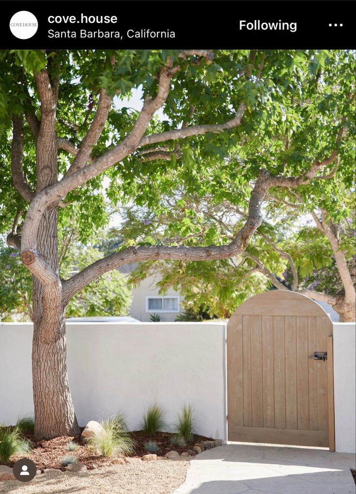 a white fence with a wooden door and tree