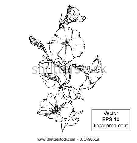 the branch with flowers and leaves on a white background is drawn by hand in black ink