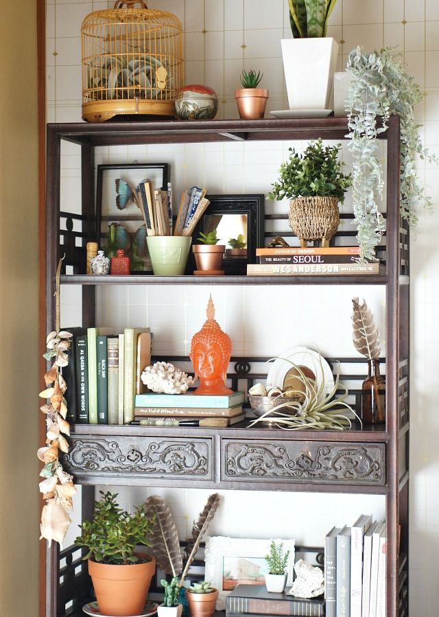 a bookshelf filled with lots of different types of plants on top of it