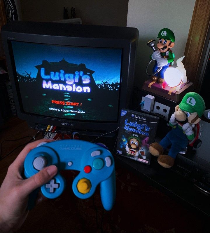 a person holding a nintendo wii game controller in front of a tv with luigi's mansion on it