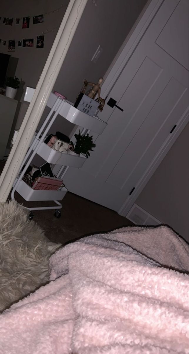 a dog laying on top of a bed next to a white book shelf and door