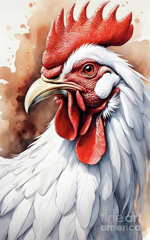 a painting of a rooster with red and white feathers on it's head, looking to the side