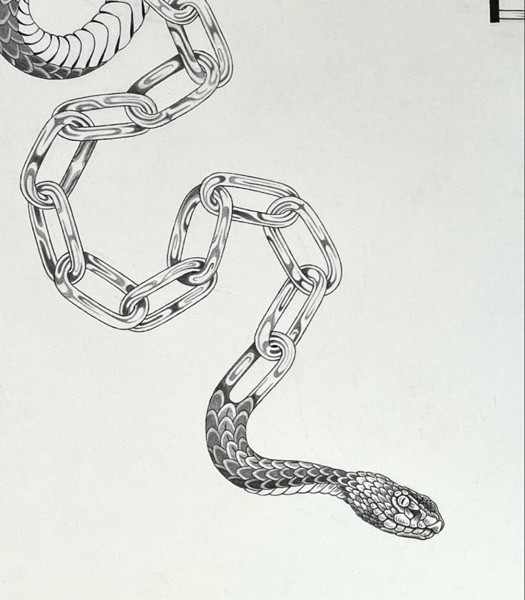 a drawing of a snake wrapped around a chain