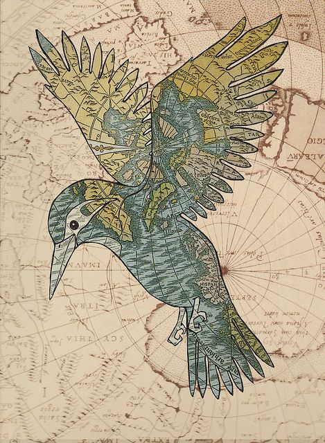 a drawing of a bird flying over a map