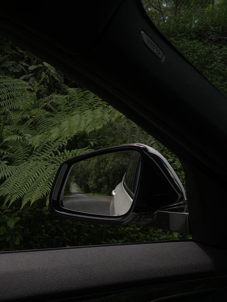 a car's side view mirror is shown in front of some trees and bushes