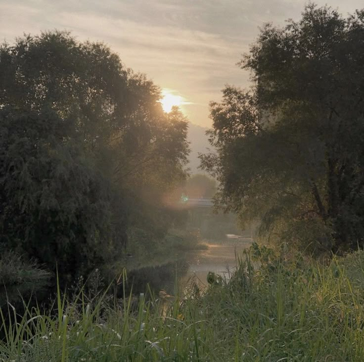 the sun shines through the trees and water on a foggy day near a river