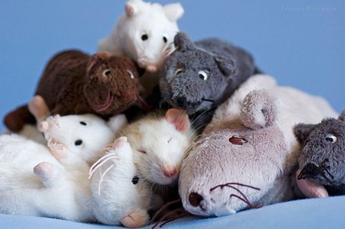 a group of stuffed animals sitting next to each other on top of a blue surface