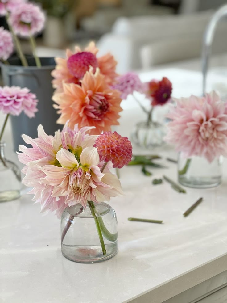 Dahlias in vase Pink And Orange Bud Vases Wedding, Bud Vases Bright Flowers, Mini Flower Arrangements Bud Vases, Bridal Shower Bud Vases, Dahlias In Bud Vases, Garden Party Bud Vases, Flower Arrangements For Round Tables, Dahlia Table Decorations, Colourful Bud Vases