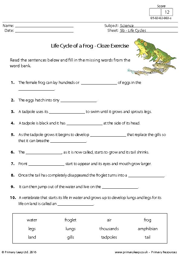 worksheet for reading the frog and other animals in order to learn how to read it