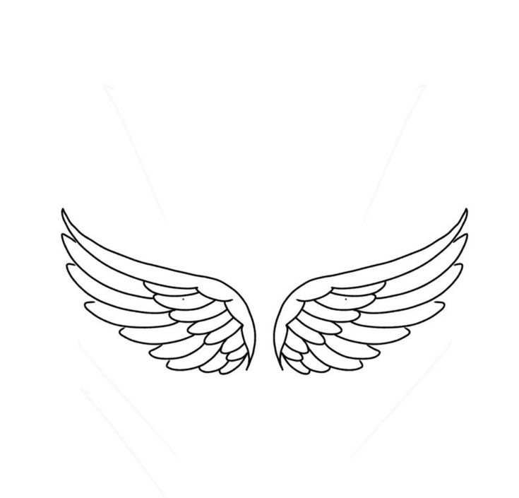 the outline of two wings on a white background