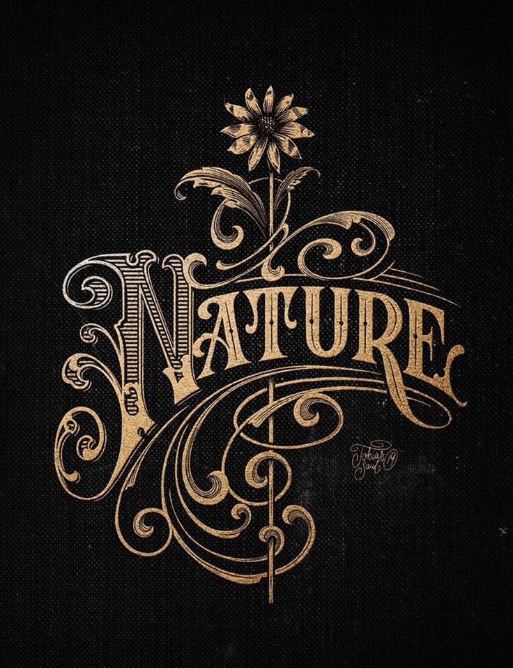 the word nature written in gold on black paper