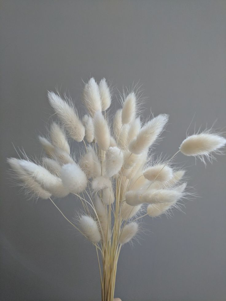 some white flowers are in a vase on a table with a gray wall behind it