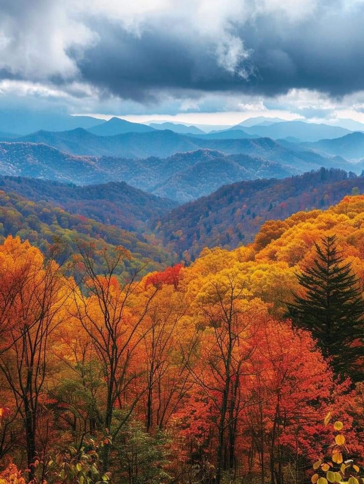 the mountains are covered in autumn foliage and trees with orange leaves on them, under a cloudy sky