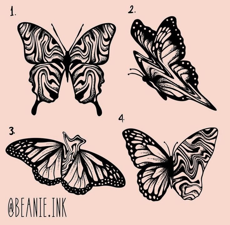 four butterflies are shown in black and white on a pink background, with the words beware