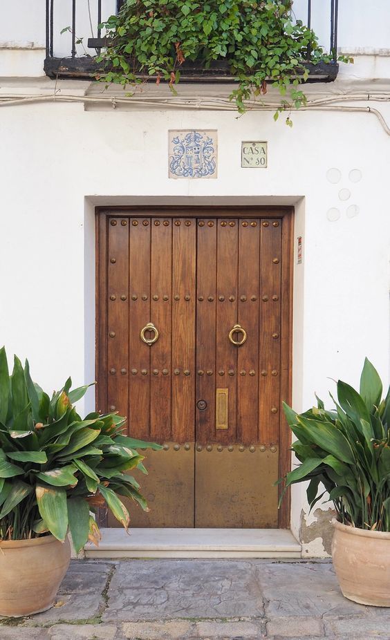 two large potted plants sit in front of a wooden door on a white building