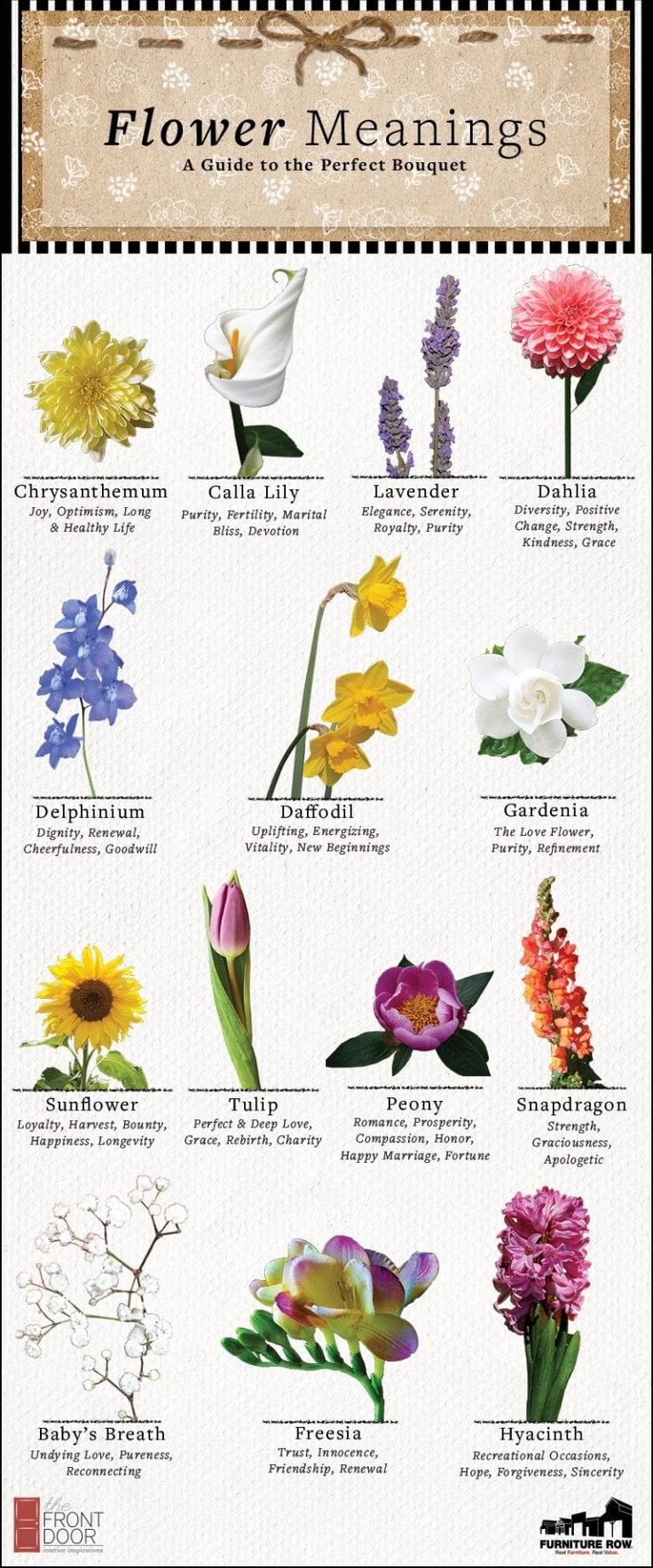 a poster with flowers and their meaningss on it's back side, including the names